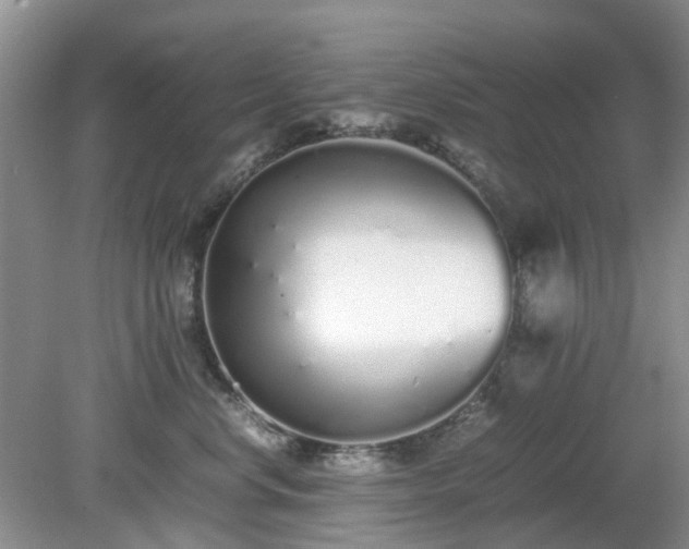 X0000079300668200611251714