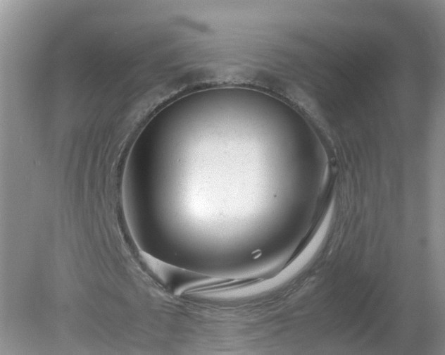 X0000079300673200611251714
