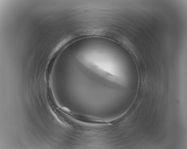X0000079300674200611251714