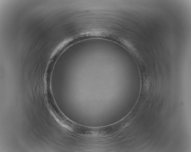 X0000079300678200611251714
