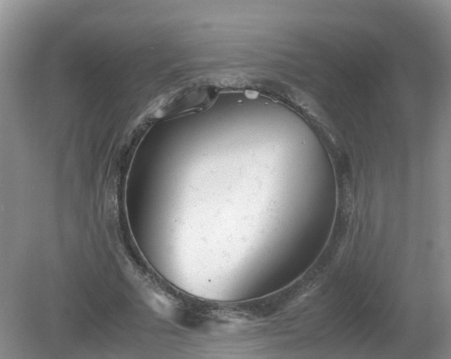 X0000079300681200611251713