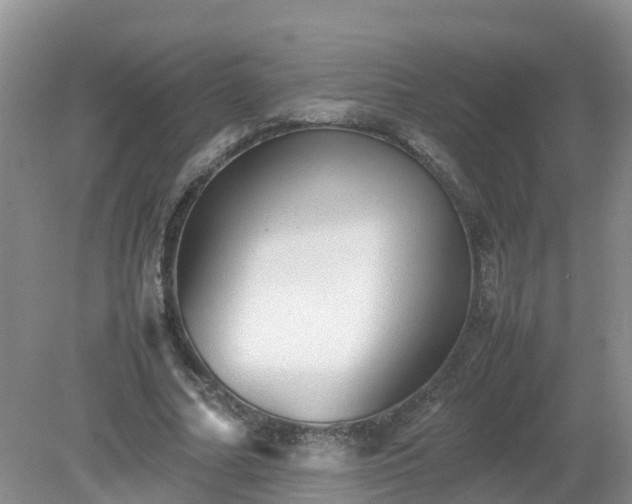 X0000079300682200611251713
