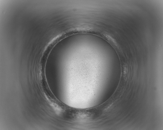 X0000079300684200611251713