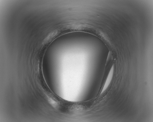 X0000079300685200611251713