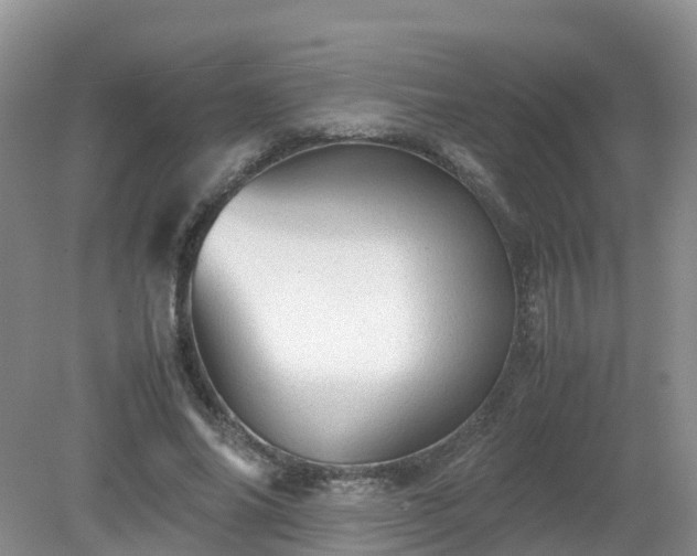 X0000079300686200611251713