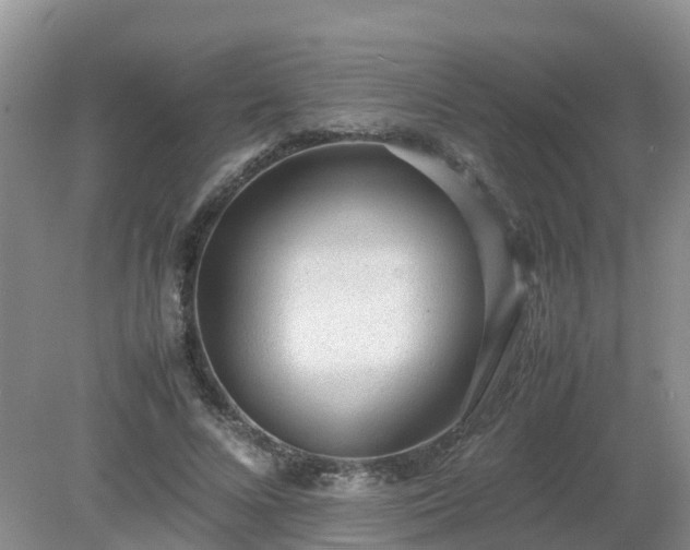 X0000079300688200611251713