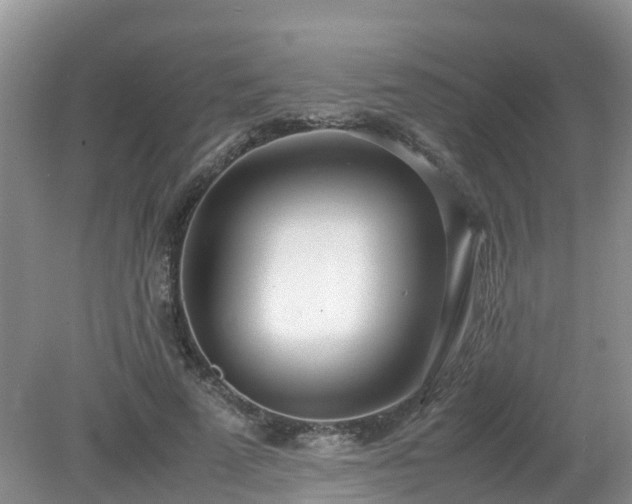 X0000079300689200611251713