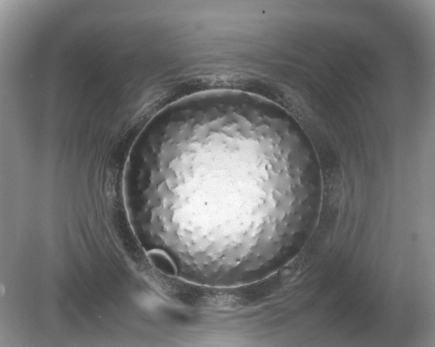 X0000079300695200611251713