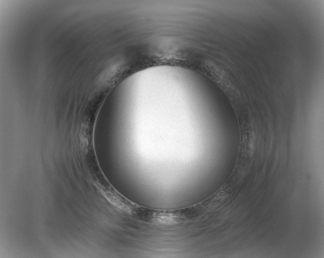 X0000079300710200611251713