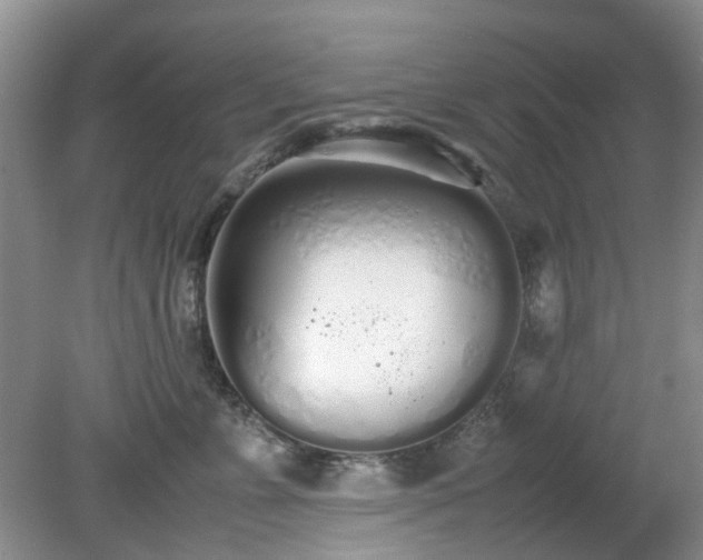 X0000079300715200611251713