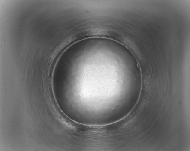 X0000079300721200611251712