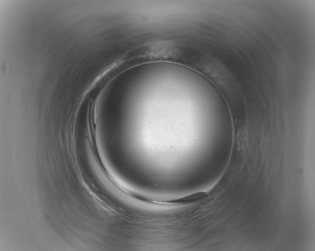 X0000079300722200611251712