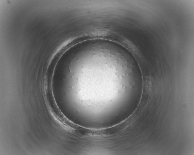 X0000079300726200611251712