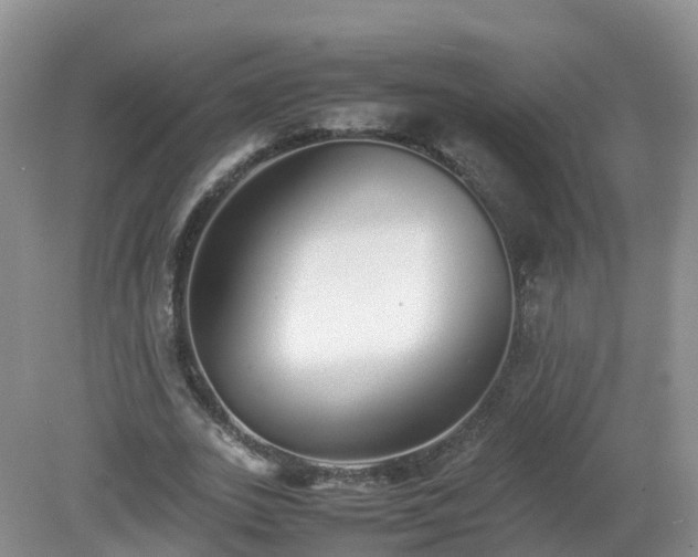 X0000079300727200611251712