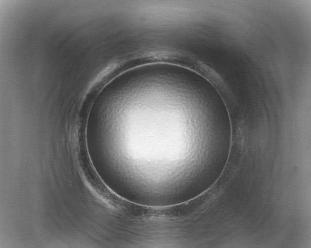 X0000079300730200611251712