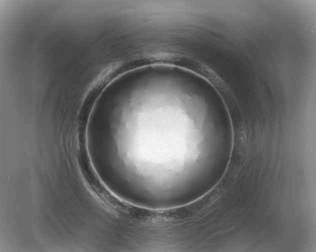 X0000079300734200611251712