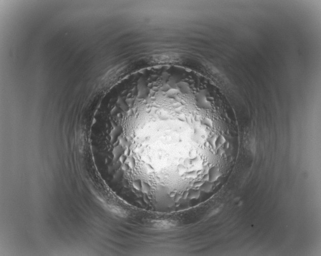 X0000079300741200611251712