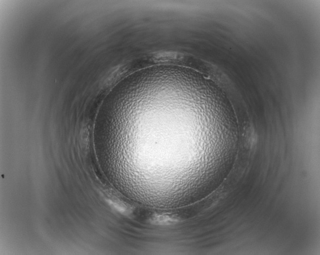 X0000079300753200611251713