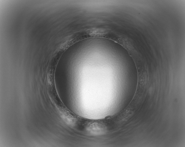X0000079300755200611251713