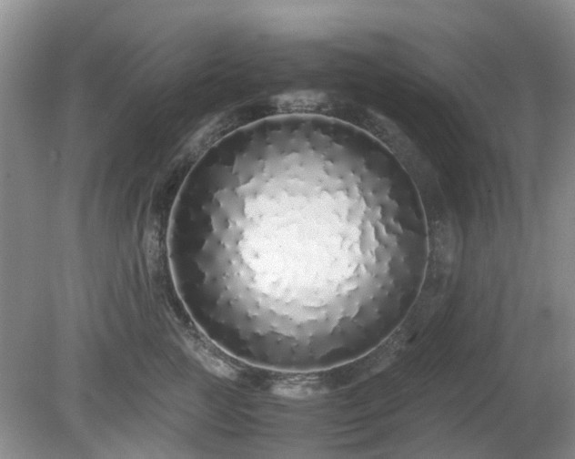 X0000079300761200611251713