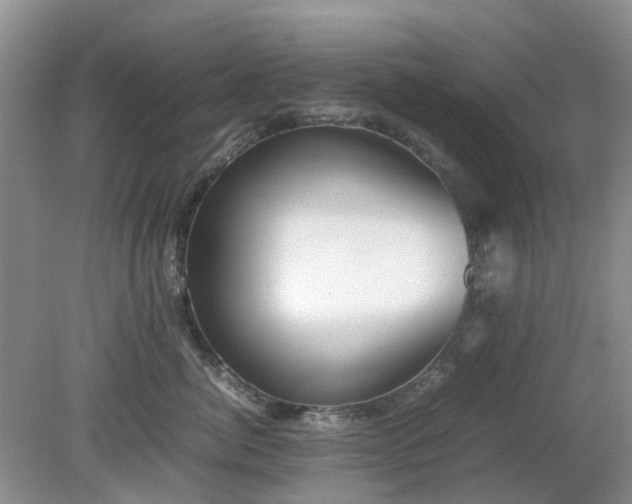 X0000079300764200611251713