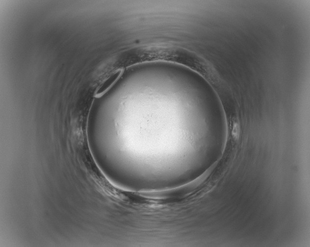X0000079300771200611251712