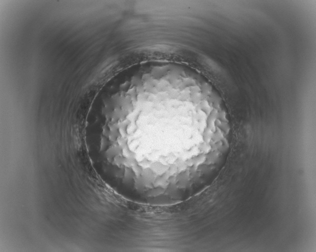X0000079300774200611251712