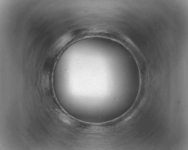 X0000079300777200611251712