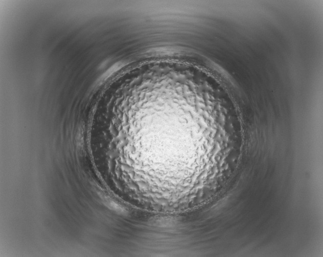X0000079300778200611251712