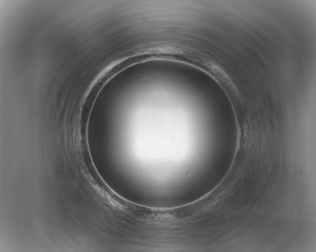 X0000079300784200611251712