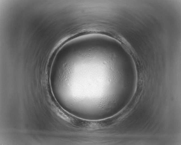 X0000079300787200611251712