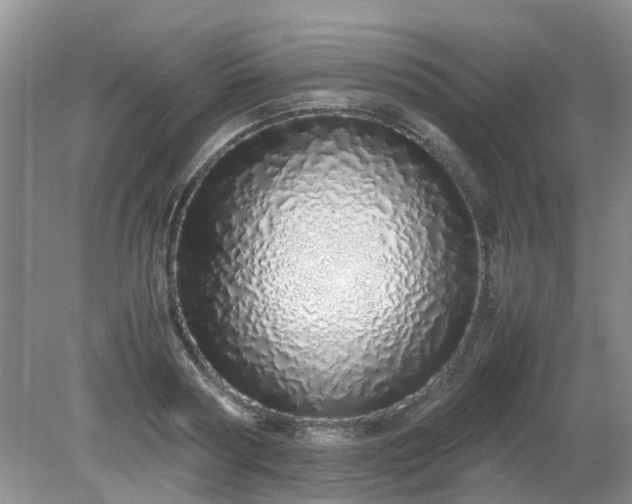 X0000079300794200611251712