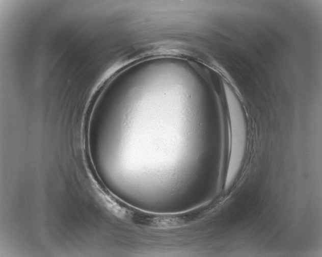 X0000079300795200611251712