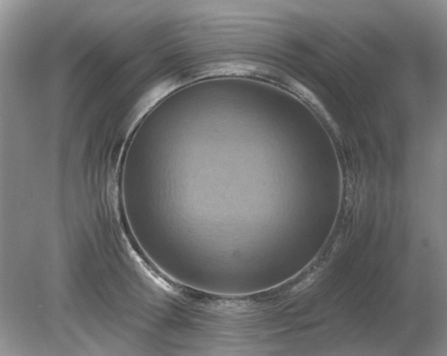 X0000079300802200611251711