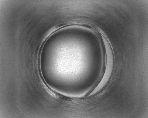 X0000079300803200611251711