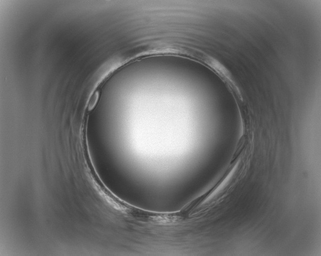 X0000079300805200611251711