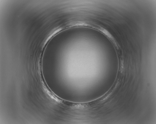 X0000079300806200611251711