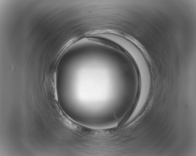 X0000079300809200611251711
