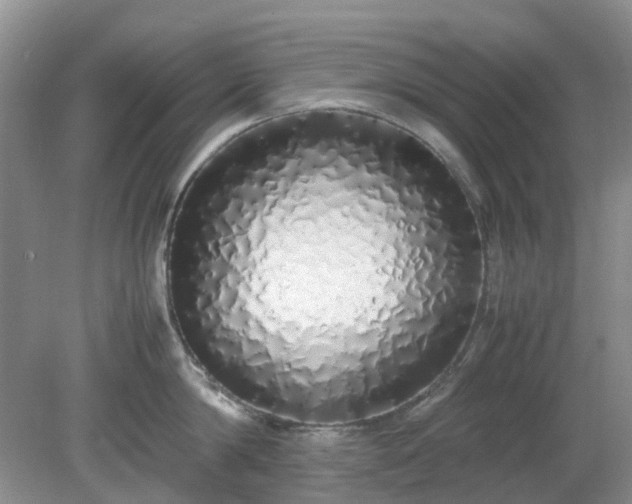 X0000079300814200611251711