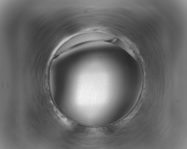 X0000079300816200611251711