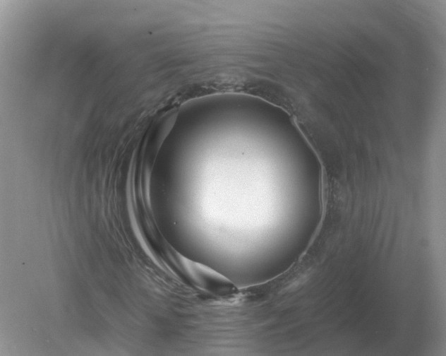 X0000079300818200611251710