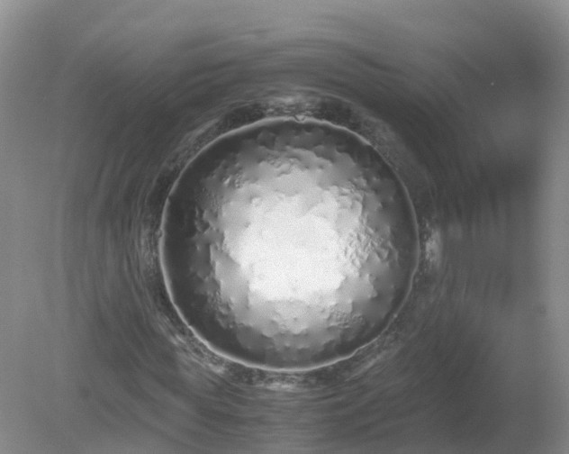 X0000079300819200611251710