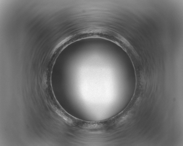 X0000079300826200611251711