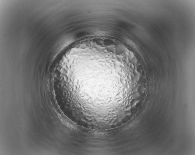 X0000079300827200611251711
