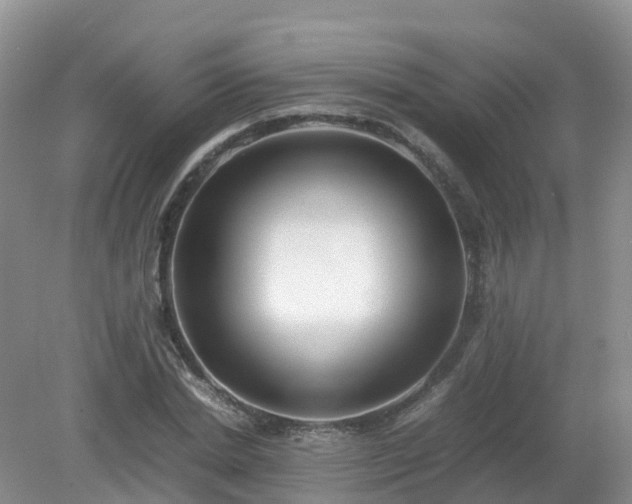 X0000079300830200611251711