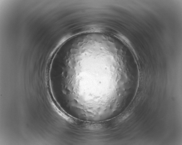 X0000079300851200611251711