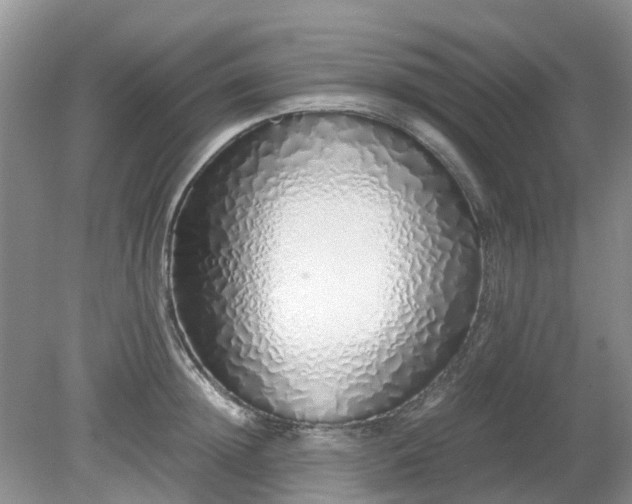 X0000079300852200611251711
