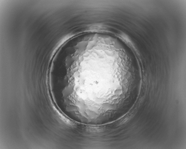 X0000079300855200611251711