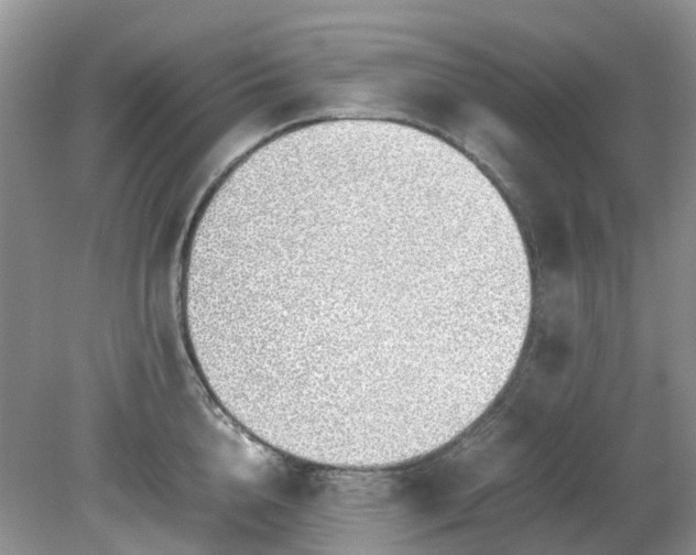 X0000079300856200611251711