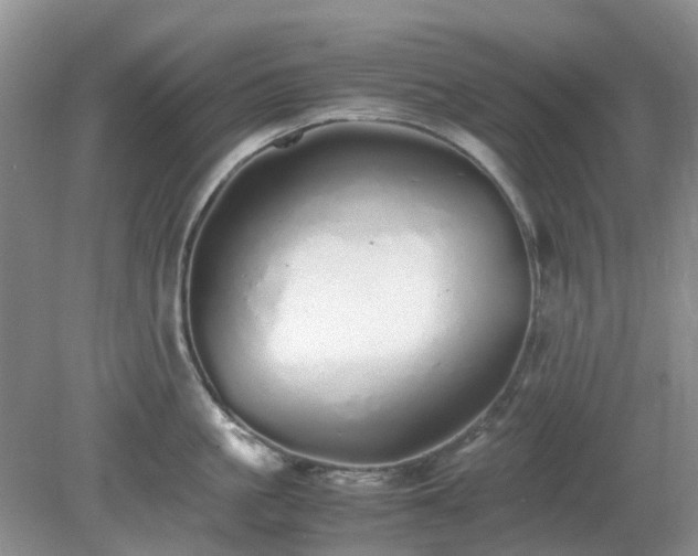 X0000079300861200611251711